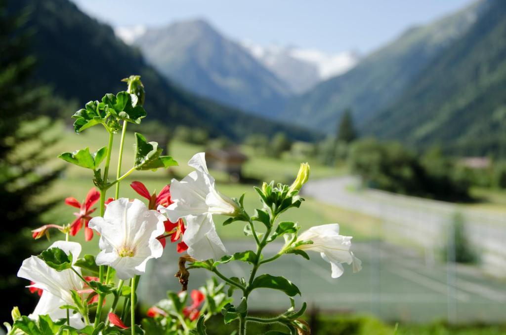 Apart-Pension Wasserfall Neustift im Stubaital Exteriör bild