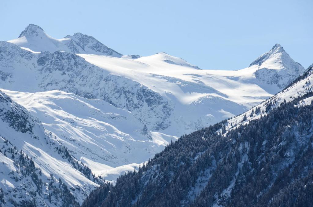 Apart-Pension Wasserfall Neustift im Stubaital Exteriör bild